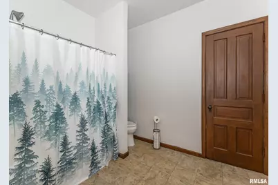 307 E Court Street, Cambridge, IL 61238 - Photo 19