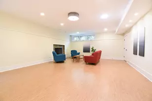 534 N Marion St, Oak Park, IL 60302 - Photo 65