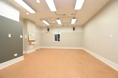 534 N Marion Street, Oak Park, IL 60302 - Photo 69