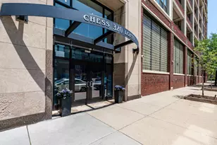 320 E 21st St, Chicago, IL 60616 - Photo 19