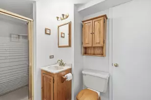 24 N Emerson St, Mount Prospect, IL 60056 - Photo 15
