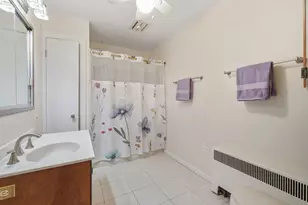 24 N Emerson St, Mount Prospect, IL 60056 - Photo 19