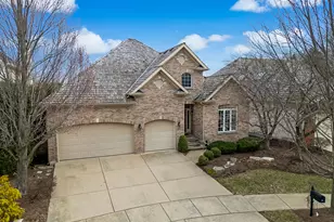 1187 Arborside Dr, Aurora, IL 60502 - Photo 1