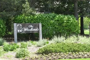 324 Satinwood Ct N, Buffalo Grove, IL 60089 - Photo 19