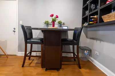 5155 N East River Road #215E, Chicago, IL 60656 - Photo 7