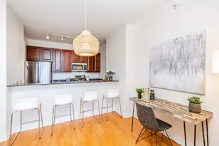 233 E 13th St, Chicago, IL 60605 - Photo 13