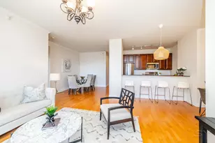 233 E 13th St, Chicago, IL 60605 - Photo 11
