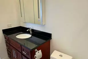 3521 S Parnell Ave, Chicago, IL 60609 - Photo 11