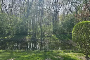 172 N East River Rd, Des Plaines, IL 60016 - Photo 35