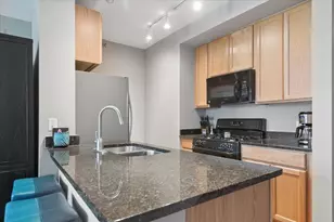 1255 S State St, Chicago, IL 60605 - Photo 5