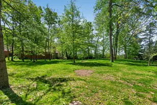 1110 White Pine Dr, Dixon, IL 61021 - Photo 61