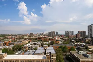 828 W Grace St, Chicago, IL 60613 - Photo 17