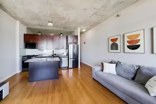 1720 S Michigan Ave, Chicago, IL 60616 - Photo 17