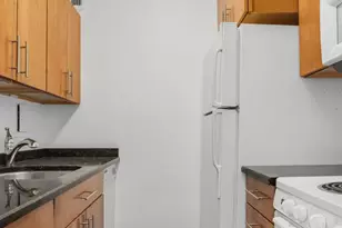 900 N Lake Shore Dr, Chicago, IL 60611 - Photo 9