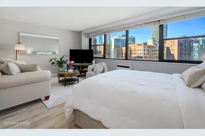 1150 N Lake Shore Drive #13L, Chicago, IL 60611 - Photo 3