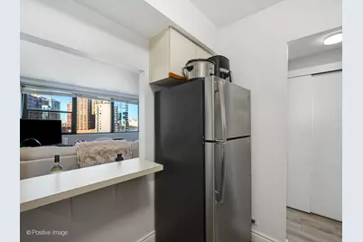 1150 N Lake Shore Drive #13L, Chicago, IL 60611 - Photo 11