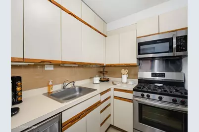 1150 N Lake Shore Drive #13L, Chicago, IL 60611 - Photo 9