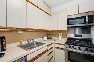 1150 N Lake Shore Dr, Chicago, IL 60611 - Photo 9