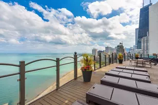 1150 N Lake Shore Dr, Chicago, IL 60611 - Photo 15