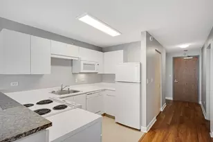 2 E Erie St, Chicago, IL 60611 - Photo 7