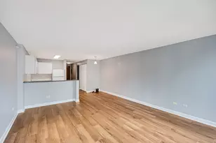 2 E Erie St, Chicago, IL 60611 - Photo 5