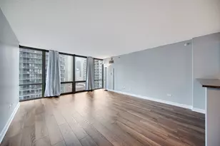 2 E Erie St, Chicago, IL 60611 - Photo 3