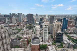 2 E Erie St, Chicago, IL 60611 - Photo 17