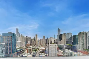 303 W Ohio St, Chicago, IL 60654 - Photo 17