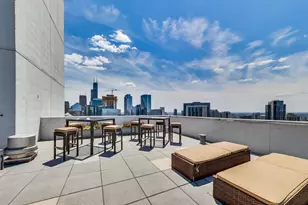 303 W Ohio St, Chicago, IL 60654 - Photo 29