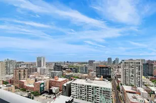 303 W Ohio St, Chicago, IL 60654 - Photo 21