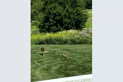 1200 E James B Young Road, Galva, IL 61434 - Photo 83