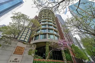 480 N McClurg Ct, Chicago, IL 60611 - Photo 1