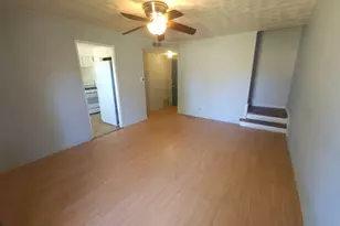 257 W Swann St, Chicago, IL 60609 - Photo 3
