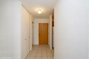 211 E Ohio St, Chicago, IL 60611 - Photo 3