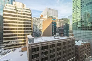 211 E Ohio St, Chicago, IL 60611 - Photo 11