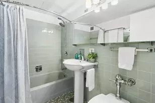 850 N Dewitt Pl, Chicago, IL 60611 - Photo 9