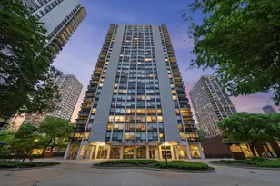 1455 N Sandburg Terrace, Chicago, IL 60610 - Photo 19