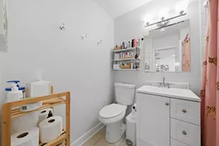 1455 N Sandburg Terrace, Chicago, IL 60610 - Photo 11