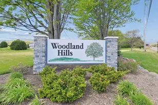 34306 N Birch Ln, Gurnee, IL 60031 - Photo 3