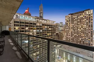 550 N St Clair St, Chicago, IL 60611 - Photo 13
