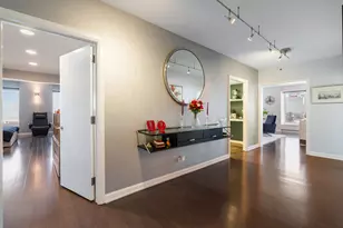 161 E Chicago Ave, Chicago, IL 60611 - Photo 13