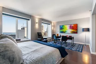 161 E Chicago Ave, Chicago, IL 60611 - Photo 17