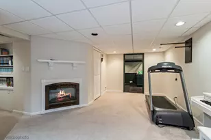 4501 Opal Dr, Hoffman Estates, IL 60192 - Photo 19