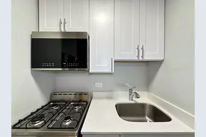 4543 N Dover Street #2C, Chicago, IL 60640 - Photo 3
