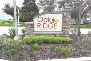 662 Alder, Manteno, IL 60950 - Photo 3