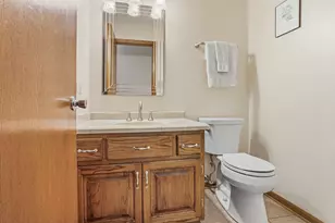 8320 Cloverview Dr, Tinley Park, IL 60477 - Photo 19