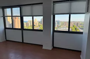 4850 S Lake Park Ave, Chicago, IL 60615 - Photo 11