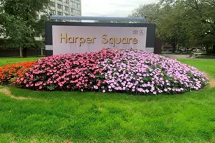 4850 S Lake Park Ave, Chicago, IL 60615 - Photo 1