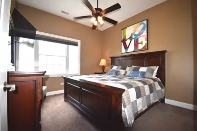 219 N White Street, Frankfort, IL 60423 - Photo 43