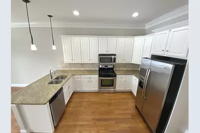 219 N White Street, Frankfort, IL 60423 - Photo 31